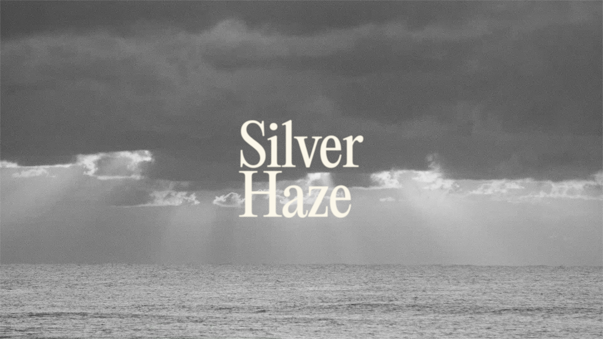 Brew Something Special with our Limited Release Espresso Blend Silver Haze