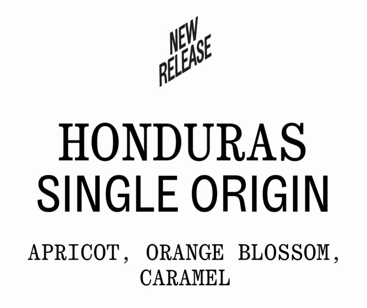 Honduras El Encino single origin espresso, new release: apricot, orange blossom, caramel