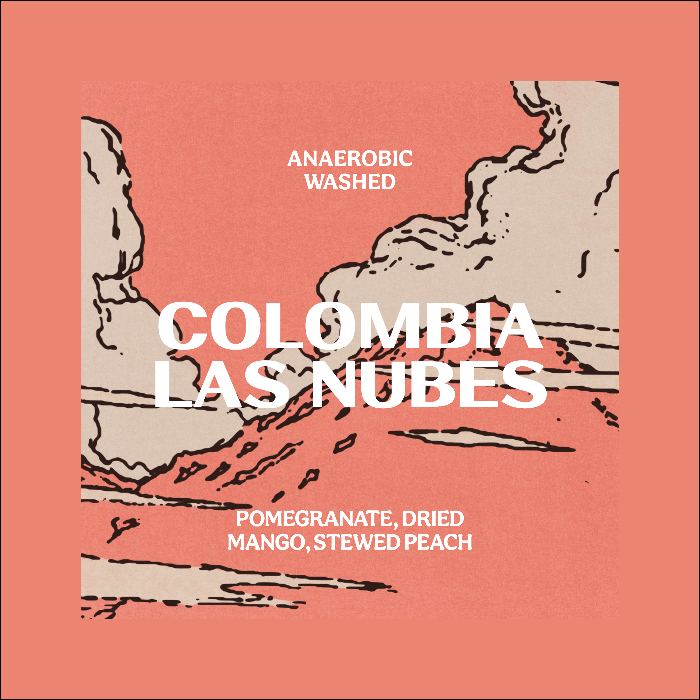 COLOMBIA | LAS NUBES | ANAEROBIC WASHED - ESPRESSO