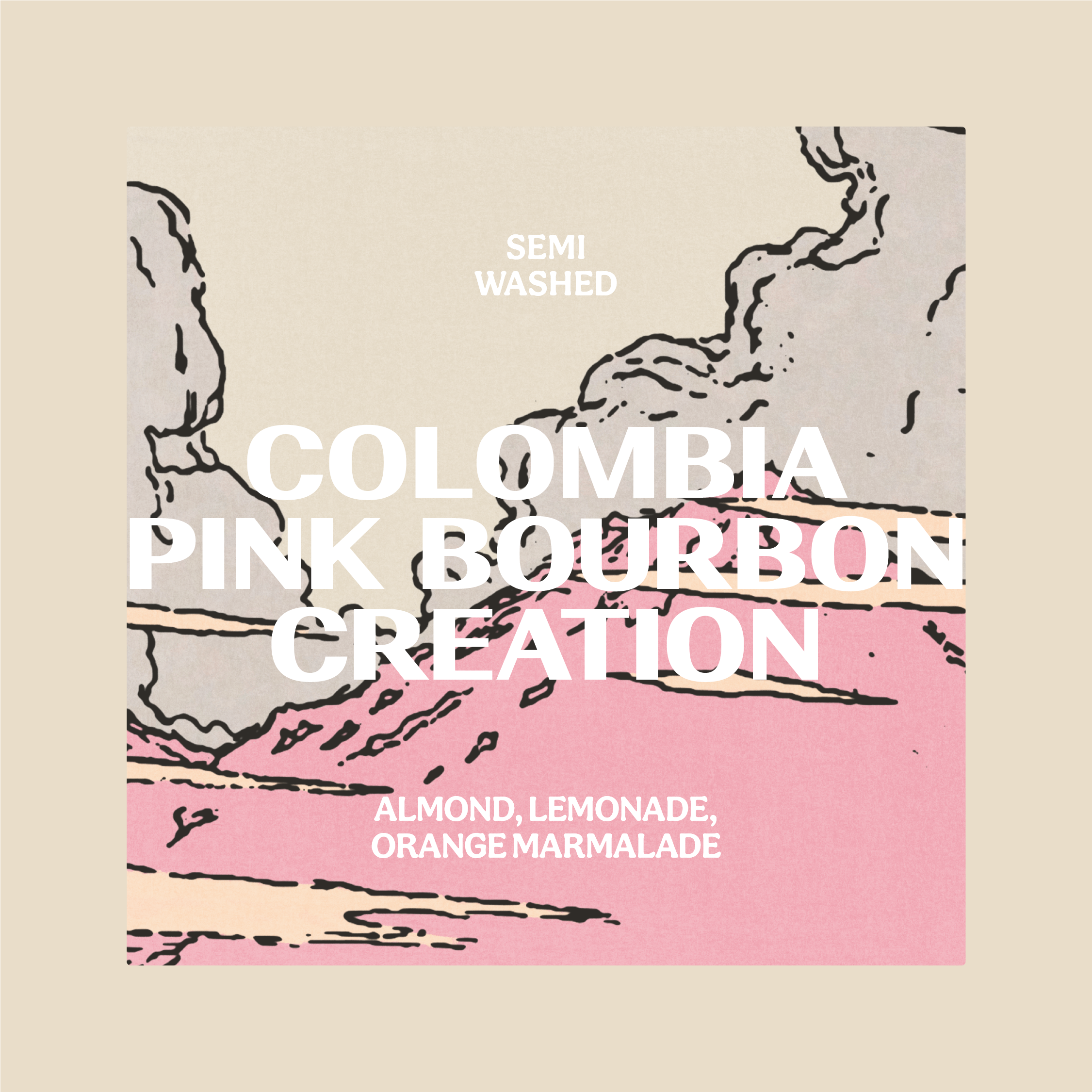 COLOMBIA | PINK BOURBON CREATION | SEMI WASHED - FILTER