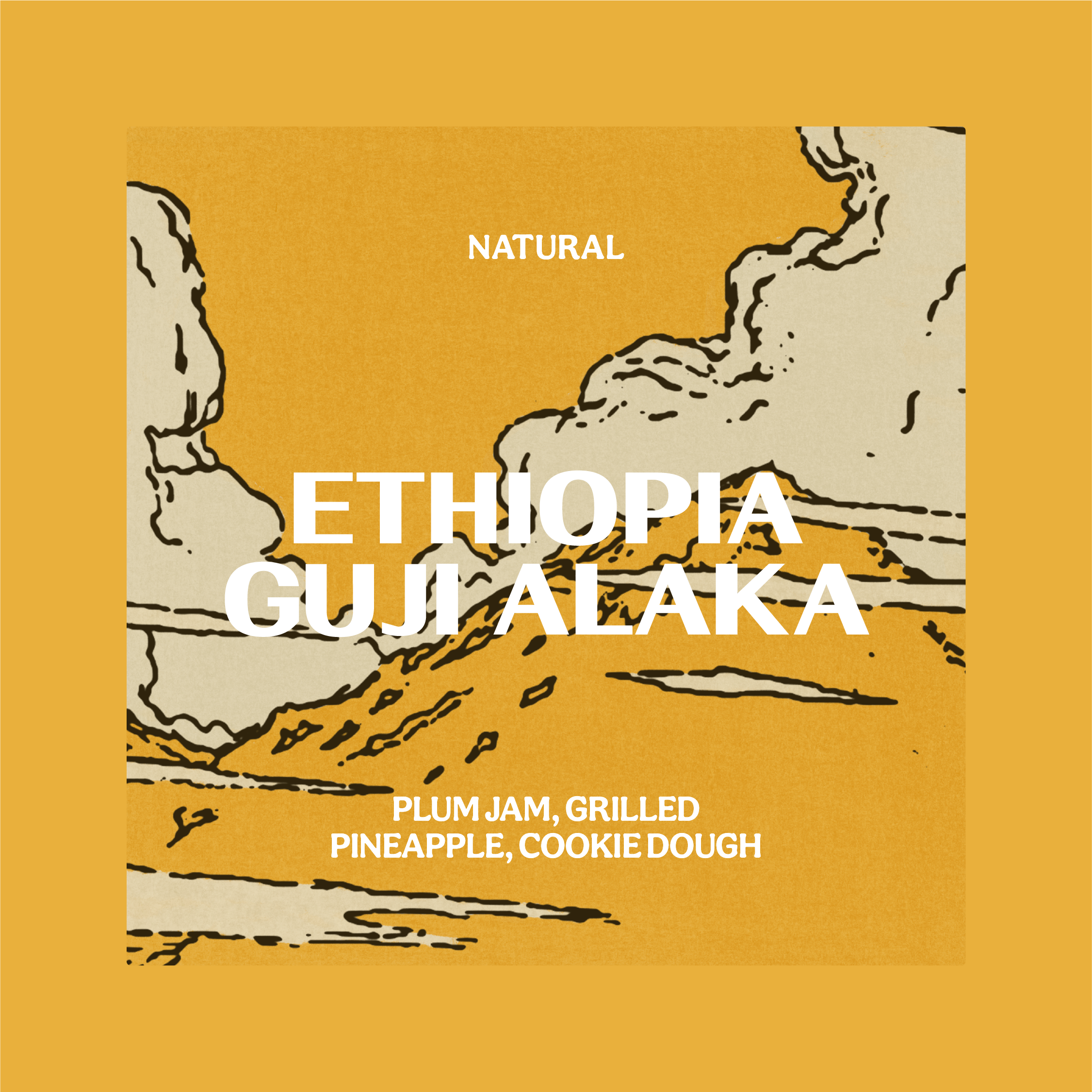 ETHIOPIA | GUJI ALAKA | NATURAL - ESPRESSO