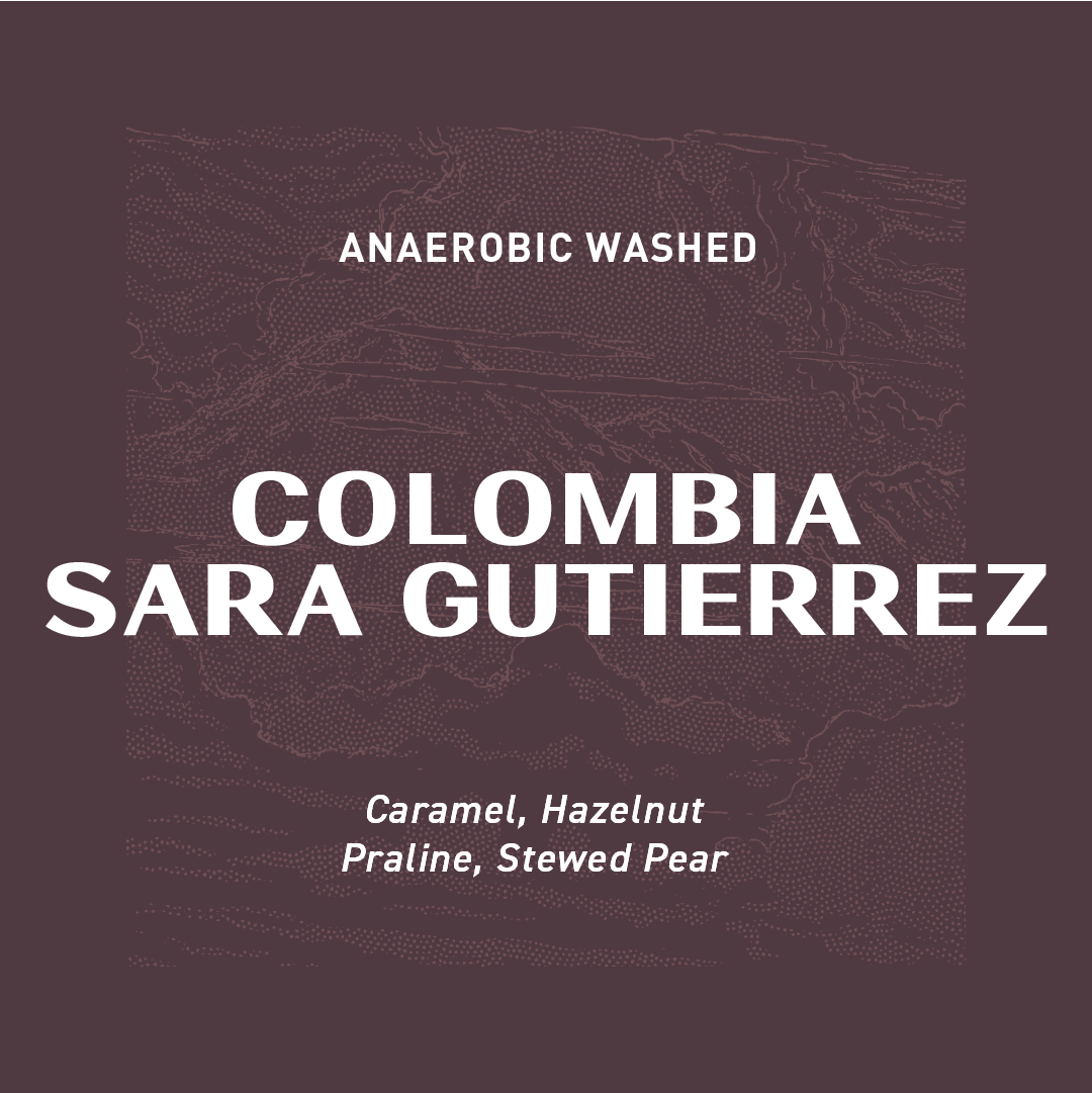 FILTER - COLOMBIA SARA GUTIERREZ