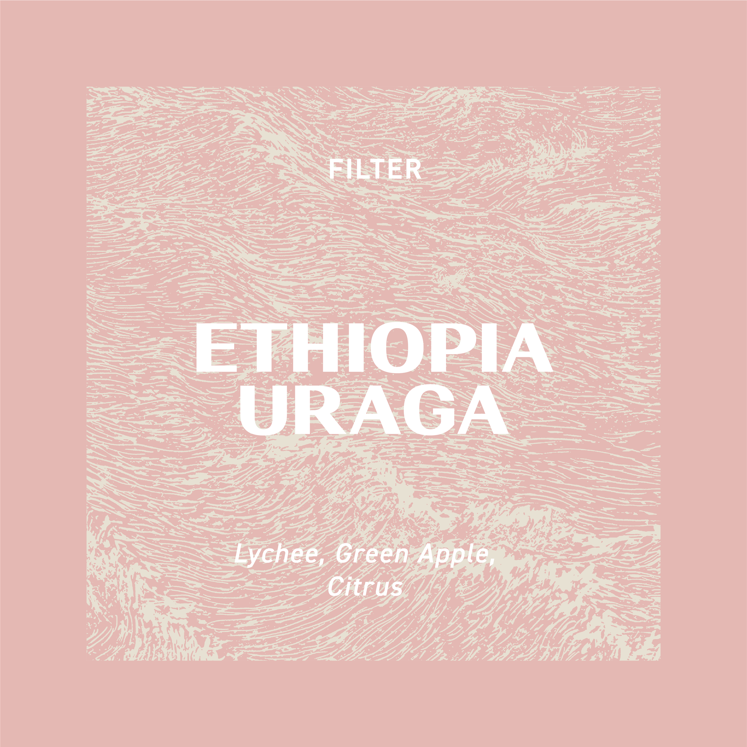 FILTER - ETHIOPIA URAGA